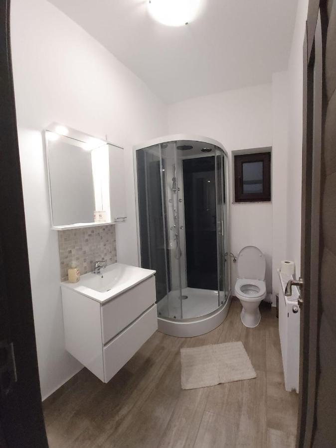 Apartament Mario Apartment Radauti Exterior photo